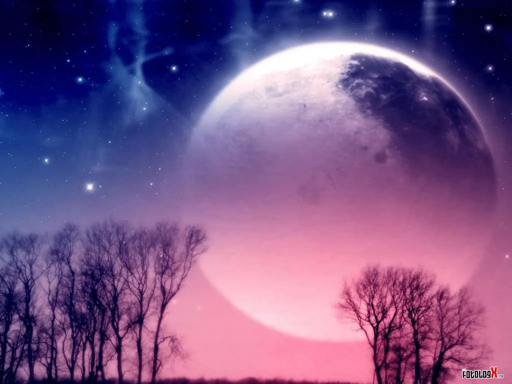 Capítulo 27: Un lobo al llegar la noche | Réquiem Nocturna Capítulo 27: Un lobo al llegar la noche | Réquiem Nocturna