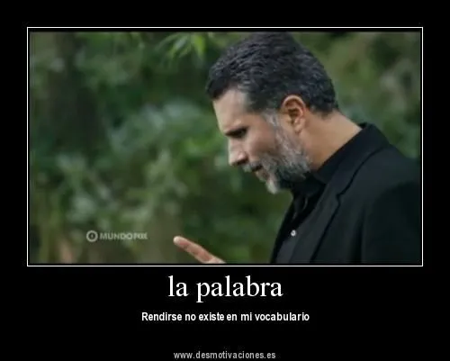 EL CAPO FRASES : EL CAPO FRASES