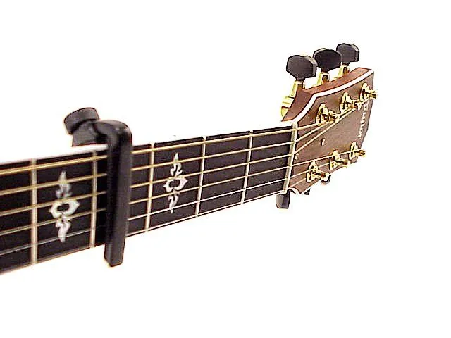 CAPO model PW-