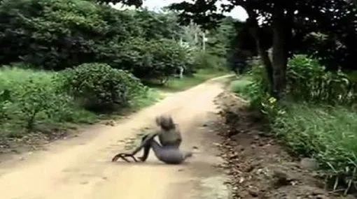 captado-en-video-una-bruja[1].jpg