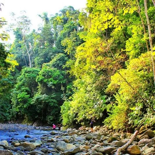 caqueta - Browse image and gifs tagged by caqueta