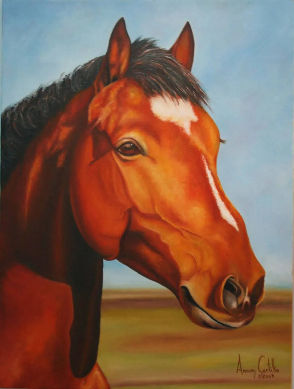 Cara de Caballo.. aneury castillo velez - Artelista.com - en Cara de Caballo.. aneury castillo velez - Artelista.com - en
