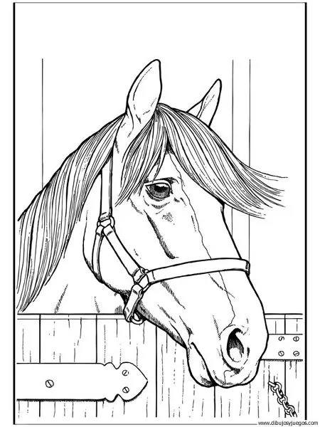 dibujo-de-caballo-154 | Dibujos y juegos, para pintar y colorear