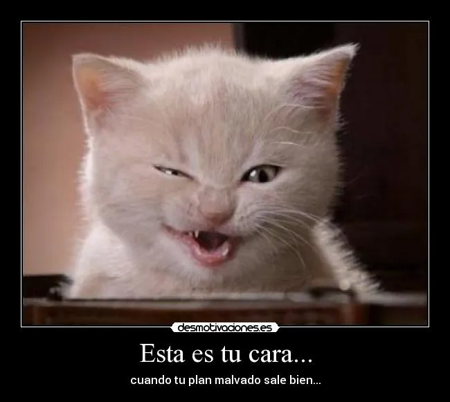 Esta es tu cara... | Desmotivaciones