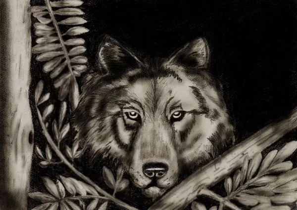 Cara de lobo by lucanroll on DeviantArt