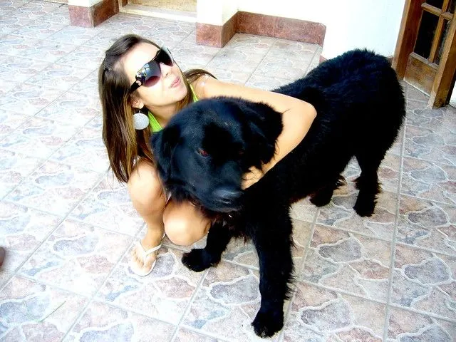 tiene cara de osito :$ | Flickr - Photo Sharing! tiene cara de osito :$ | Flickr - Photo Sharing!