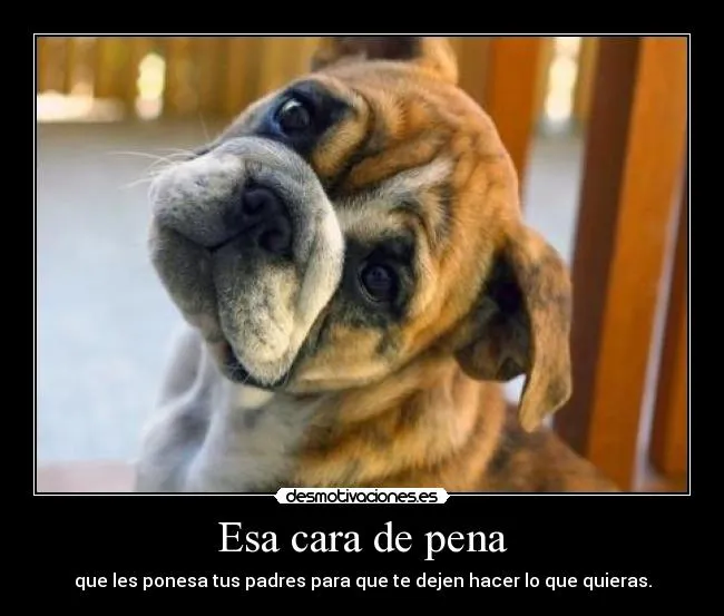 Esa cara de pena | Desmotivaciones
