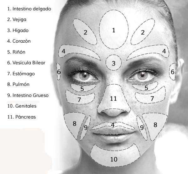 La cara: reflejo del alma (mapa) ~ Nueva Mentes