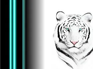 esto es una cara de un tigre blanco macho el tigre blanco es carnivoro ... esto es una cara de un tigre blanco macho el tigre blanco es carnivoro ...