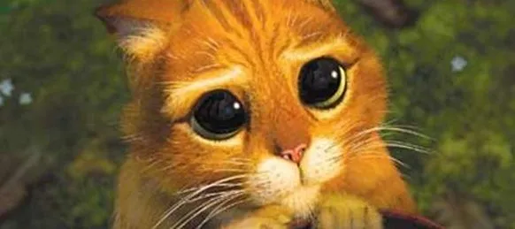 Cara triste gato con botas - Imagui