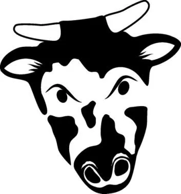 Imagenes de cara de vaca - Imagui