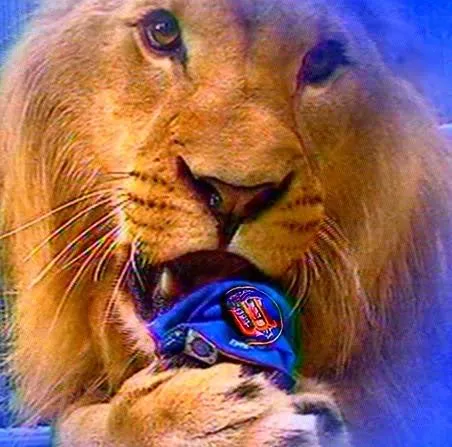 Caracas y Magallanes los eternos rivales del beisbol venezolano ...