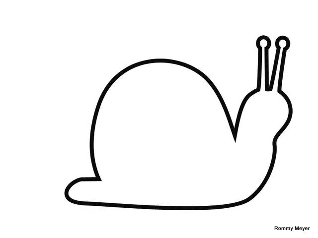 caracol | Wchaverri's Blog