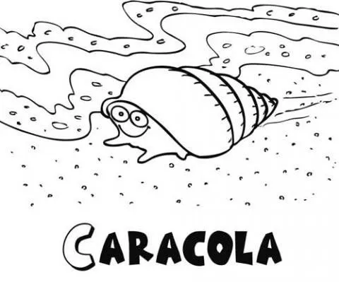 14085-4-dibujos-caracola.jpg