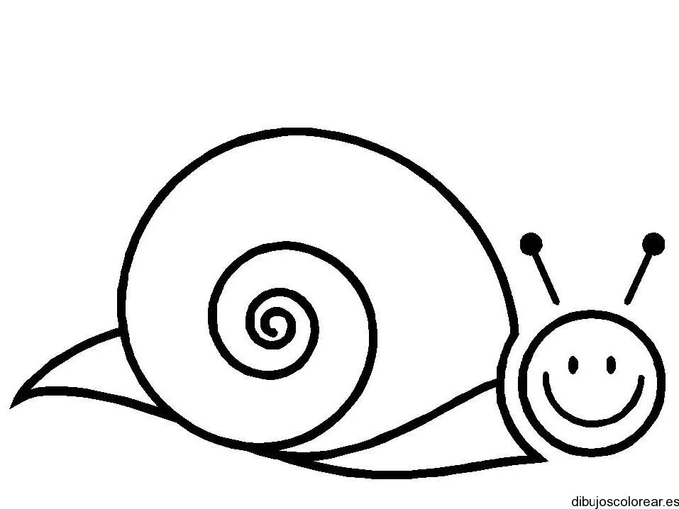 Caracoles | Dibujos para Colorear