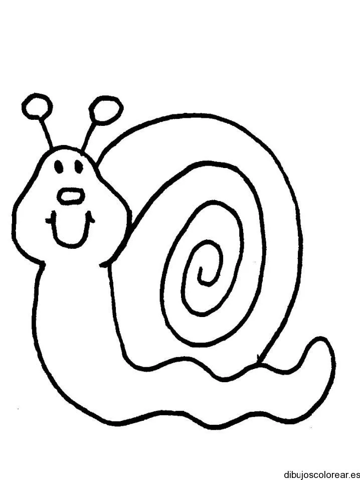 Caracoles | Dibujos para Colorear