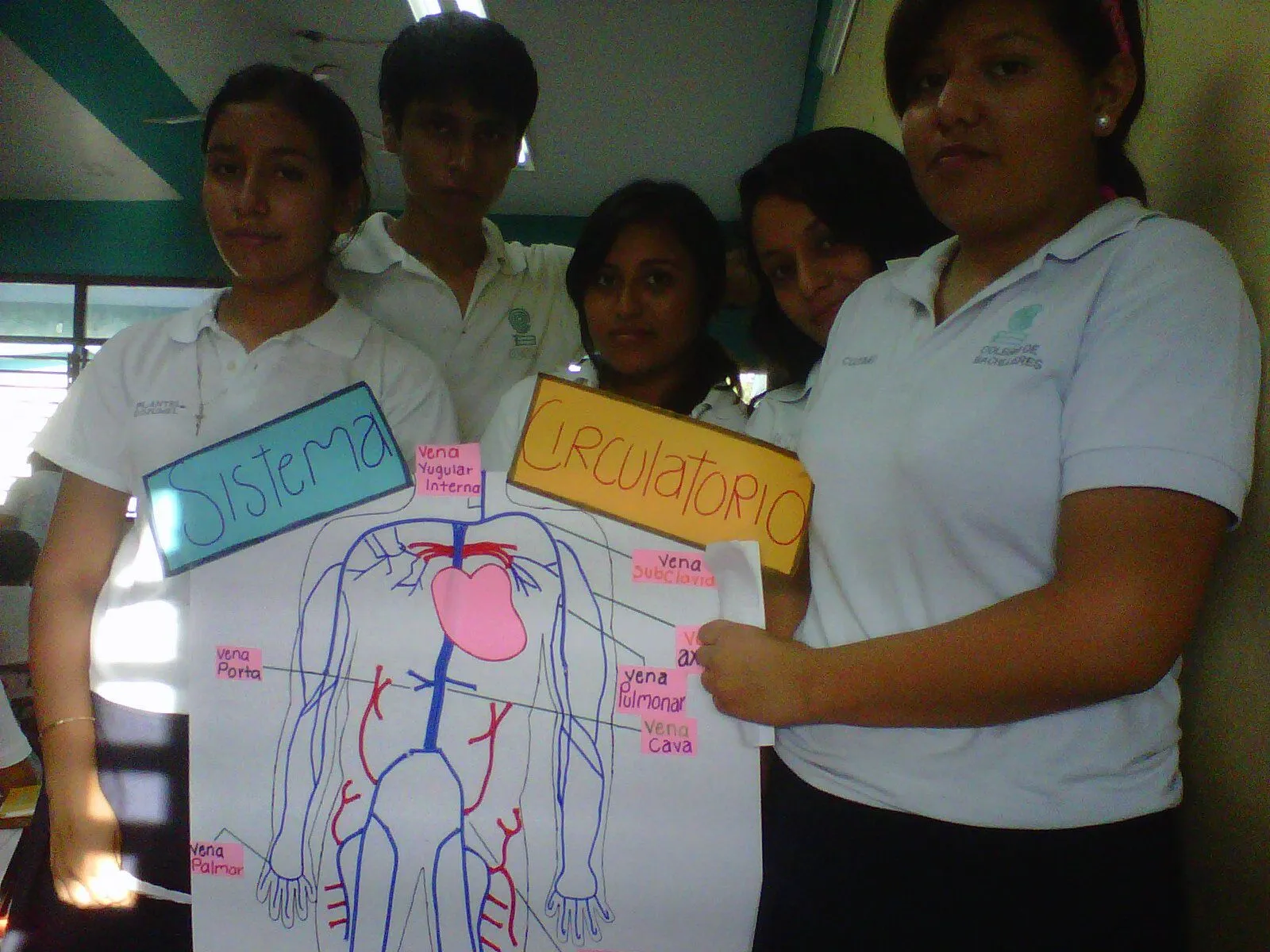 Caracteristicas & Funcionamiento Del Cuerpo Humano Caracteristicas & Funcionamiento Del Cuerpo Humano