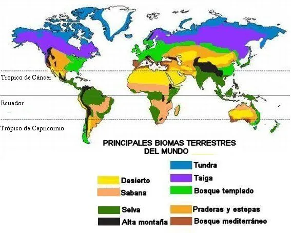 Características de los Biomas