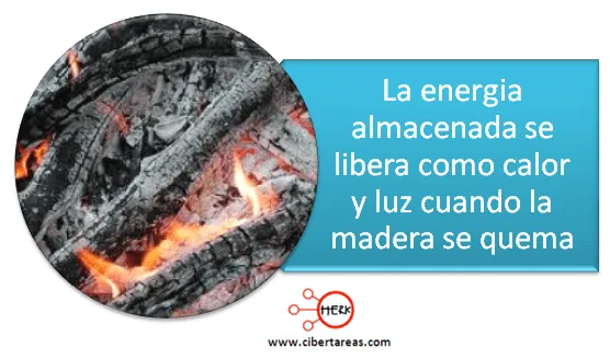 Características de los cambios físicos, químicos y nucleares de la ...