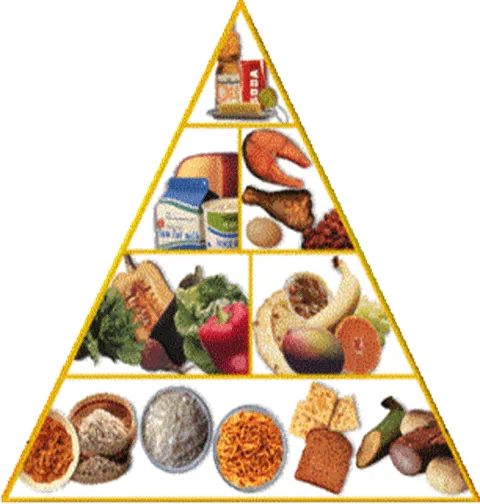Características y clasificación de los alimentos - Monografias.com Características y clasificación de los alimentos - Monografias.com