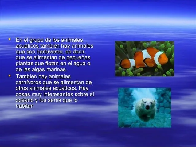 caracteristicas-de-animales- ...