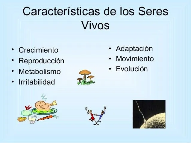 caracteristicas-de-los-seres- ...