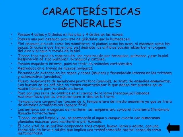 Caracteristicas fisicas de un elefante para niños - Imagui