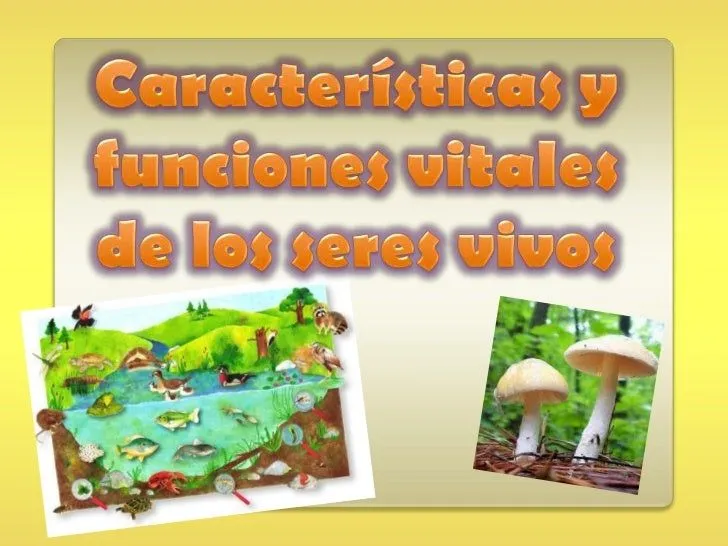 Características y funciones vitales de los seres vivos