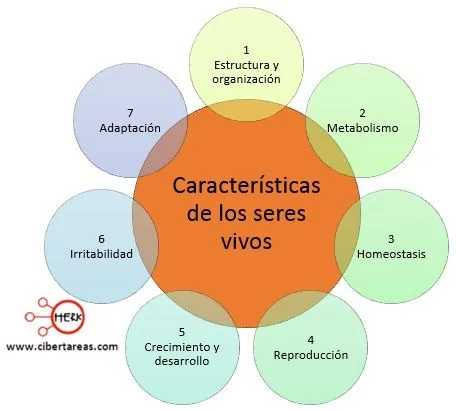 Características de los seres vivos – Biología 1 | CiberTareas Características de los seres vivos – Biología 1 | CiberTareas