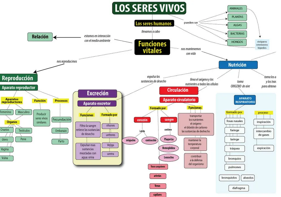 Características de los seres vivos | Nuestro blog de 5º y 6º