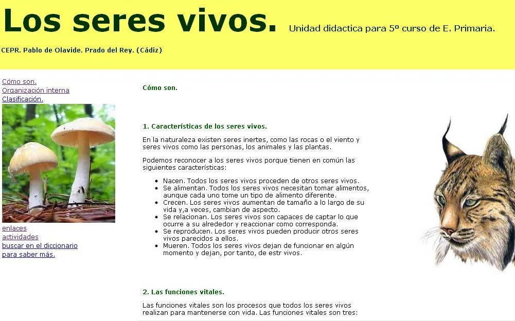 Características de los seres vivos - Ciencias Naturales 2° BTO ...