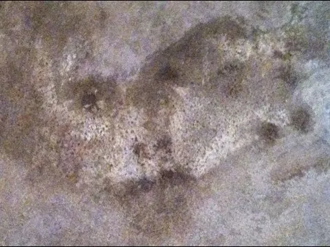 LAS CARAS DE BÉLMEZ - YouTube