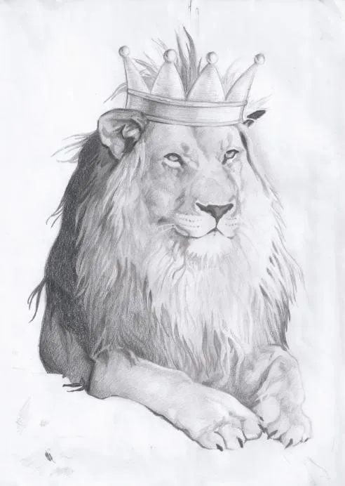 Dibujo leon y tigre a lapiz - Imagui