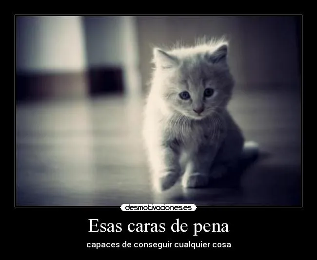 Esas caras de pena | Desmotivaciones