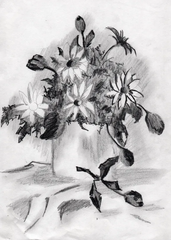 Carboncillo