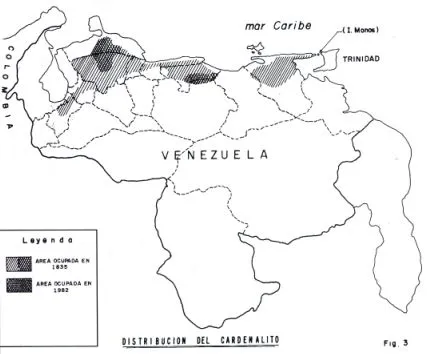 Cardenalito de venezuela para colorear - Imagui Cardenalito de venezuela para colorear - Imagui
