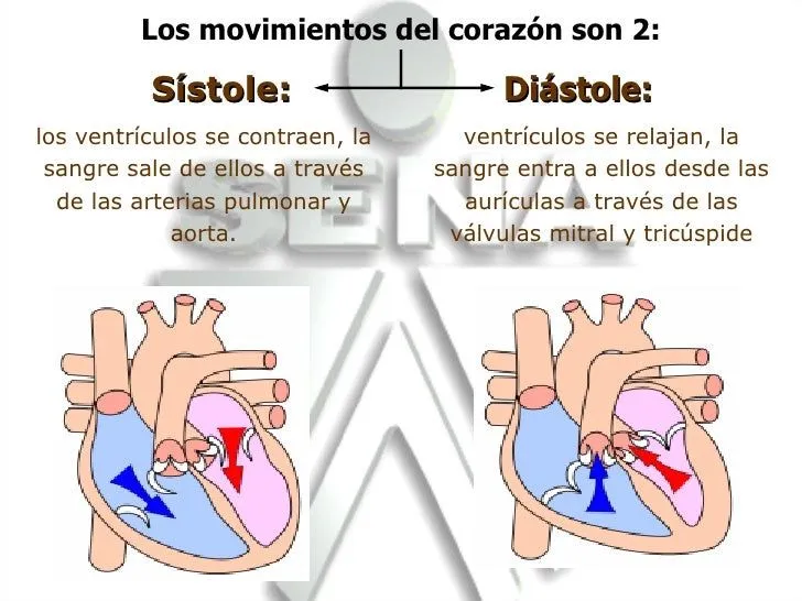 Cardio pulm