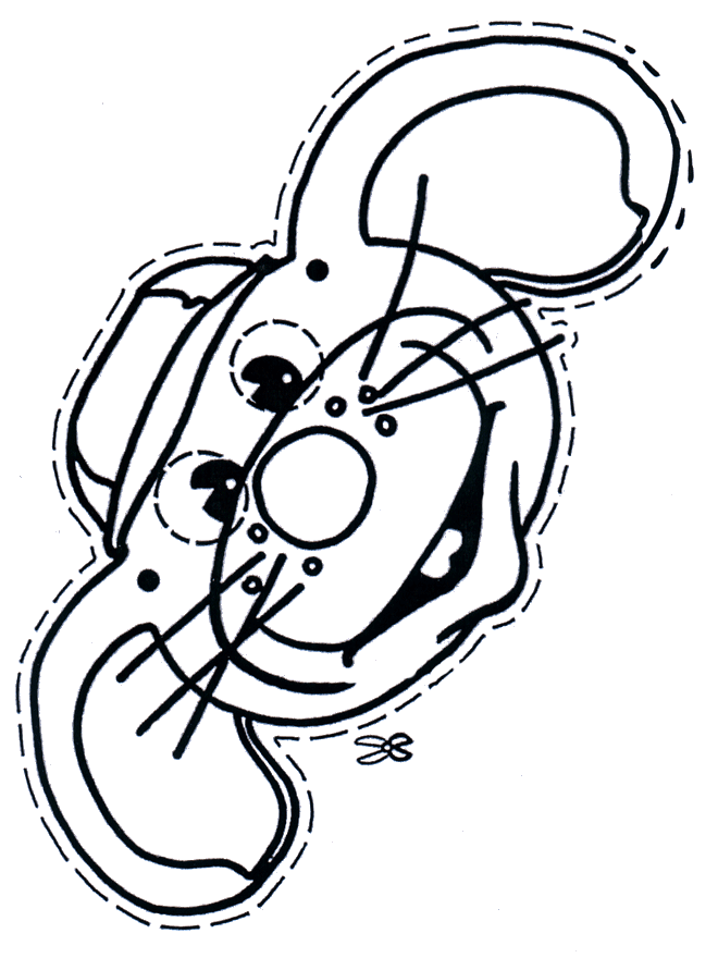 Dibujos.org / Manualidades / Caretas / Careta de ratón Dibujos.org / Manualidades / Caretas / Careta de ratón