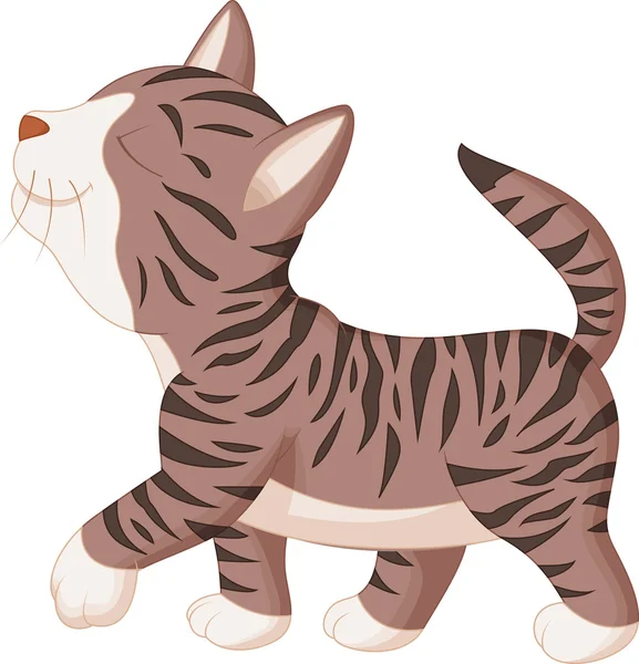 Caricatura lindo gato — Vector stock © tigatelu #37158665