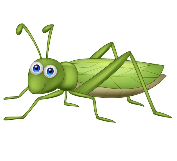 Caricatura lindo saltamontes — Vector stock © tigatelu #27374341 Caricatura lindo saltamontes — Vector stock © tigatelu #27374341