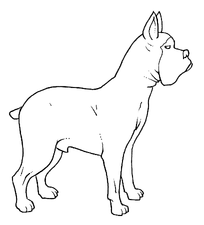 Perros boxer para colorear - Imagui