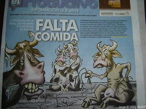 Vacas en caricaturas - Imagui
