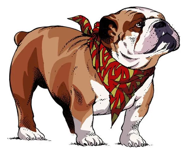 Dibujos de bulldog inglés - Imagui