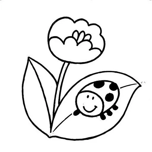 Dibujo de catarina para colorear - Imagui