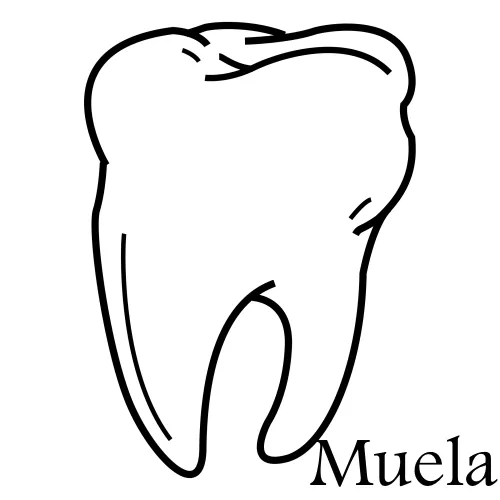 Pinto Dibujos: Muela para colorear