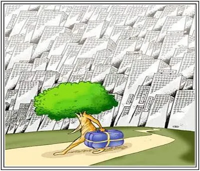 Caricaturas de naturaleza - Imagui