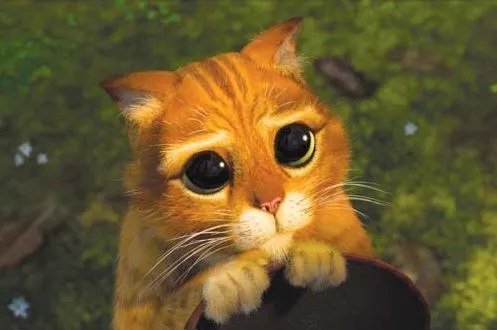 Carita de gatito - Imagui