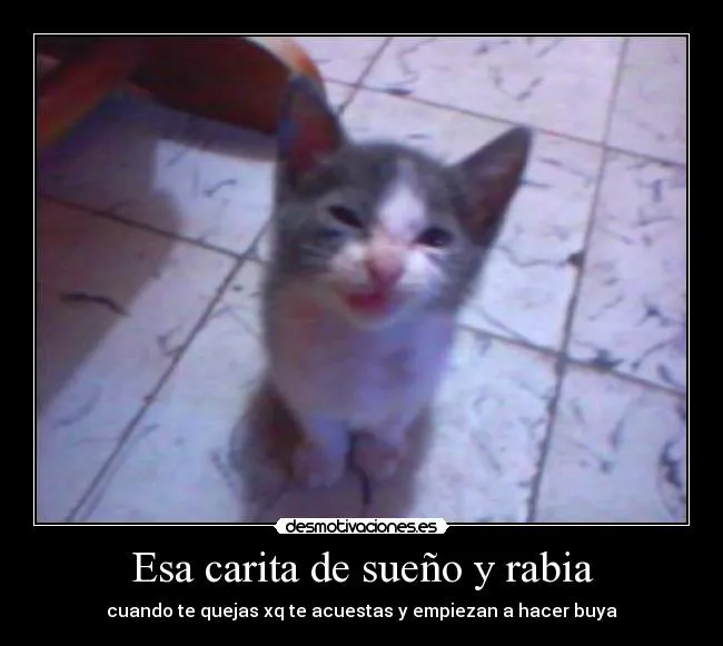 Esa carita de sueño y rabia | Desmotivaciones Esa carita de sueño y rabia | Desmotivaciones
