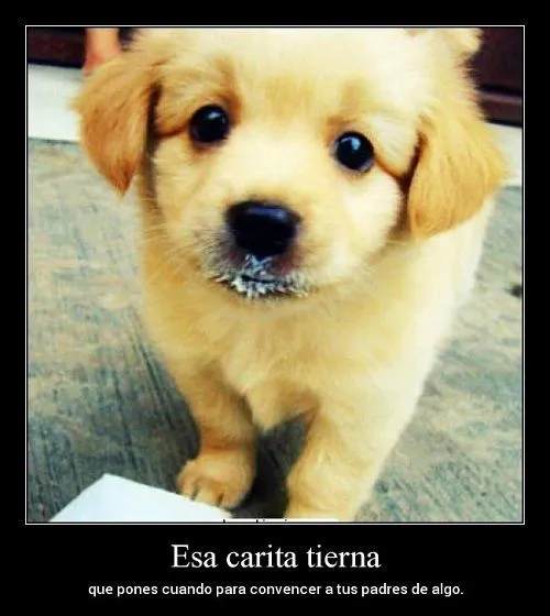 Imagenes de amor | Te Amo Web - Imagenes de amor - Part 20 Imagenes de amor | Te Amo Web - Imagenes de amor - Part 20
