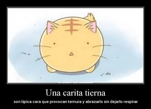 Carita tierna | Te Amo Web - Imagenes de amor Carita tierna | Te Amo Web - Imagenes de amor